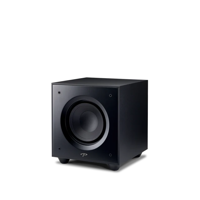 Paradigm Electronics Defiance V10