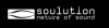 Soulution Audio