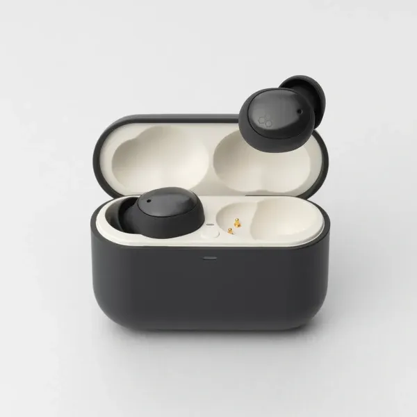 Final Audio ZE500