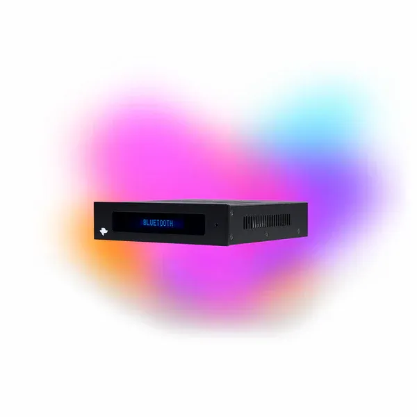 KIN AMP