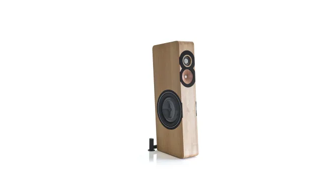 Boenicke Audio W13