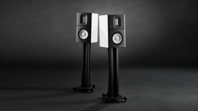 Raidho Acoustics X1.6