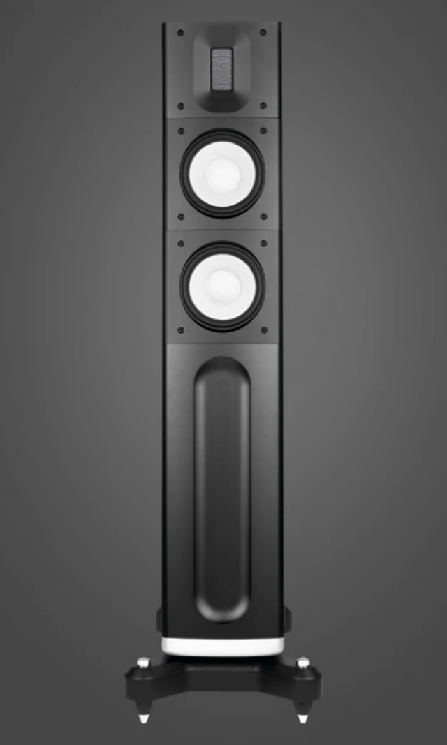 Raidho Acoustics C2.2