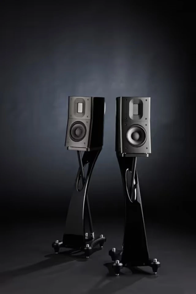 Raidho Acoustics D1.1