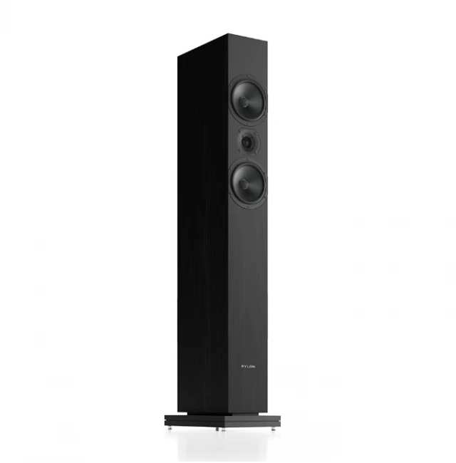Pylon Audio Zirkon 20