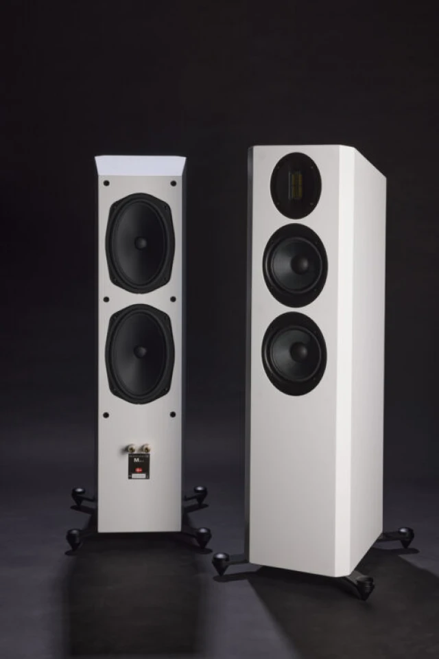 Scansonic HD M20.2