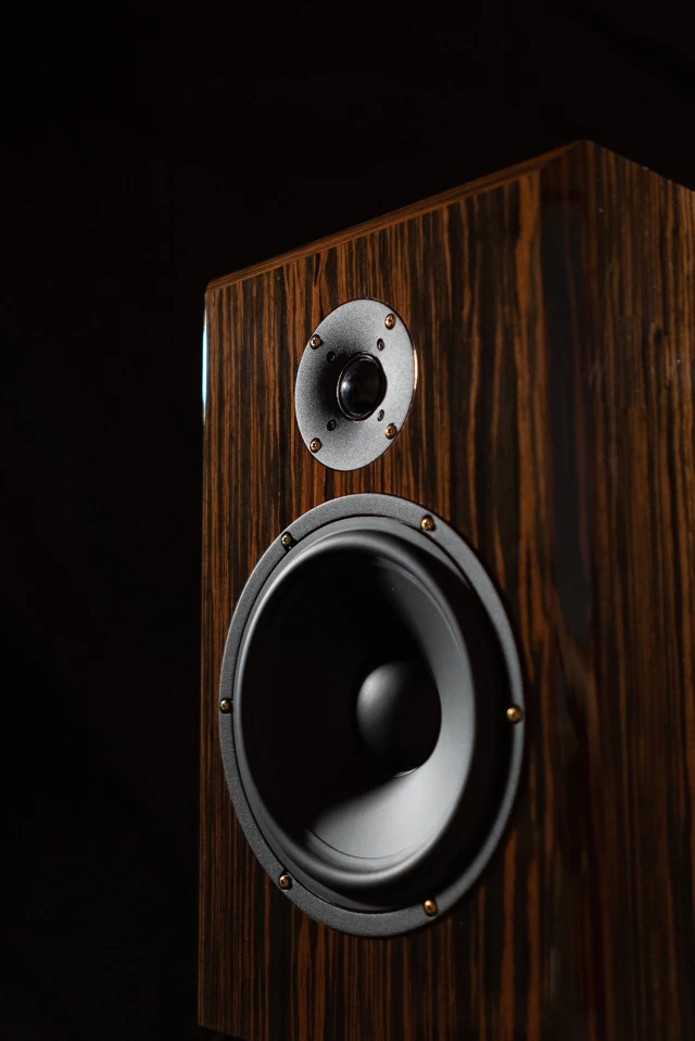 Alexandria Audio The Monitor