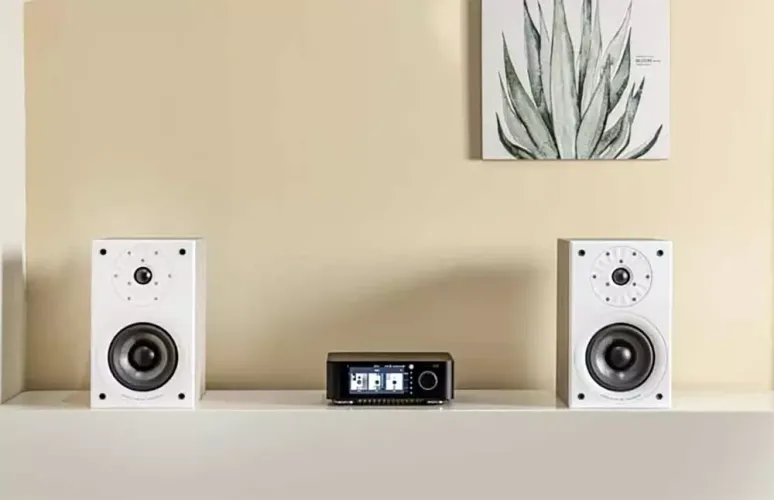 Starke Sound Beta5 – Bookshelf Speakers with Eversolo Support