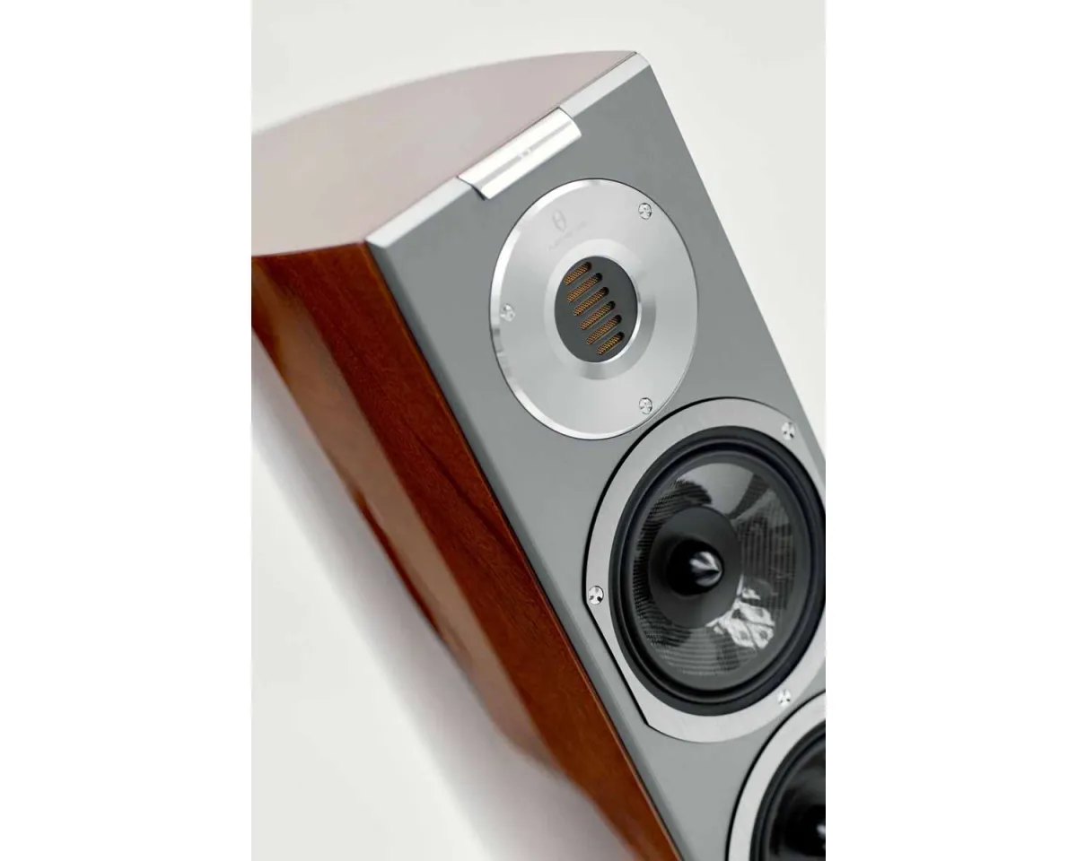 Audiovector R 5 Arreté