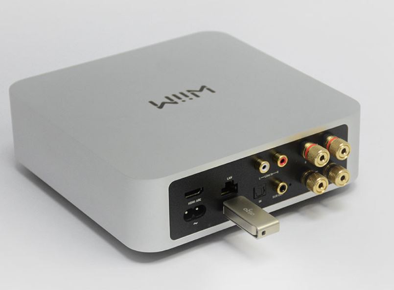 Wiim Amp Pro
