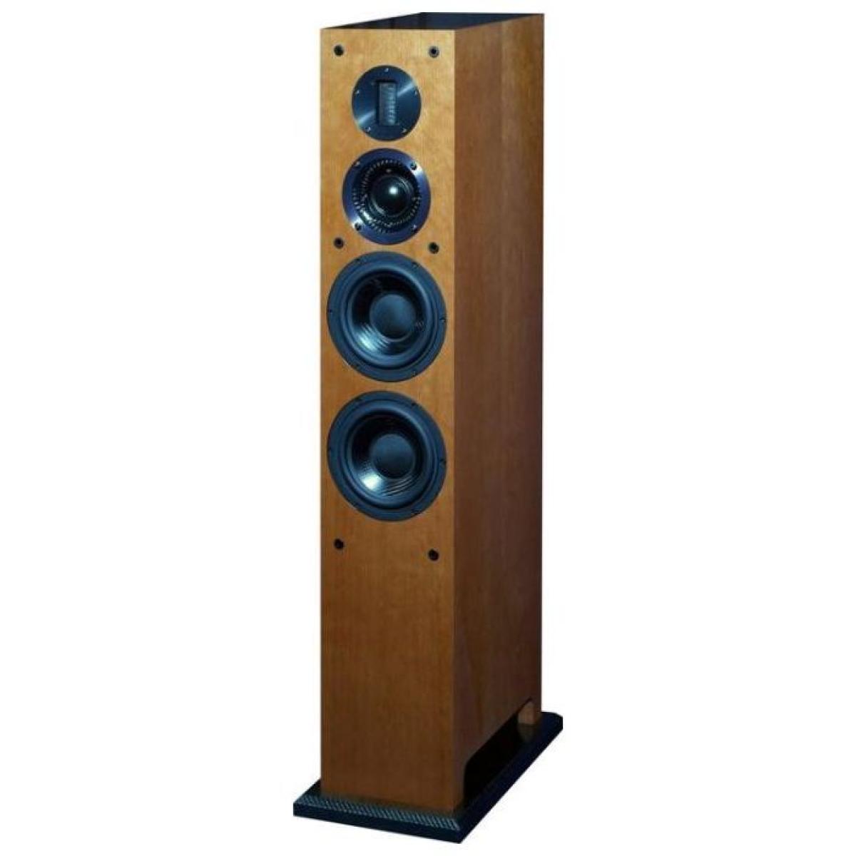 ProAc Carbon Pro 6 speaker system 1
