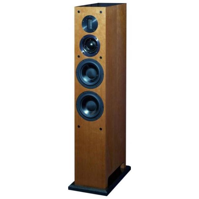 ProAc Carbon Pro 6 speaker system