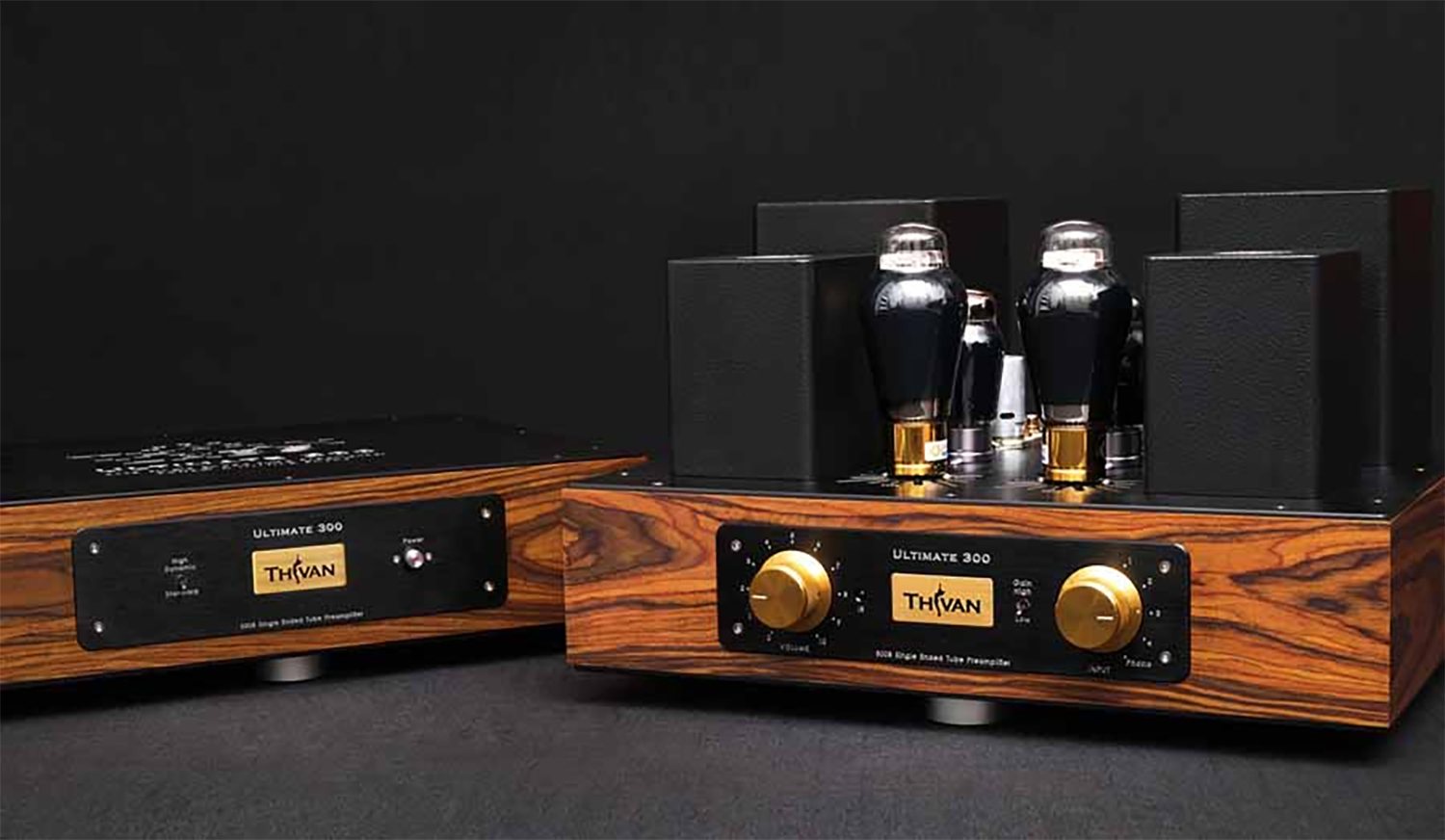 ThivanLabs Ultimate 300