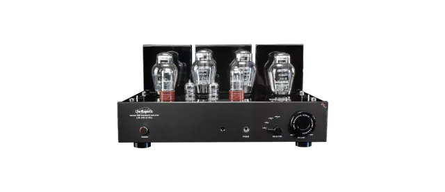 Line Magnetic LM-300IA PLUS